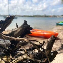 Pelican Sport Pulse 100X With Paddle Kayak 23 Pelican Sport Pulse 100X With Paddle Kayak -Kayaking Sale Store KOS10P102 00 LS4