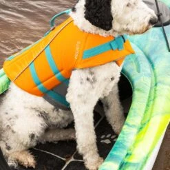 Dog Traction Pad For Kayaks -Kayaking Sale Store PS1964 00 LS2